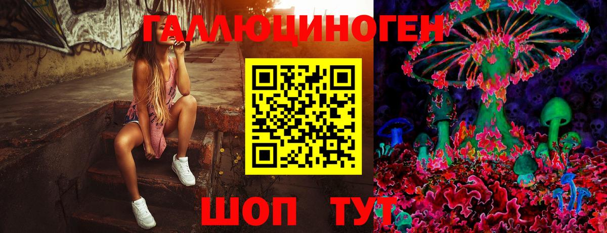 Псилоцибиновые грибы мицелий  Вход с VPN  Баксан 