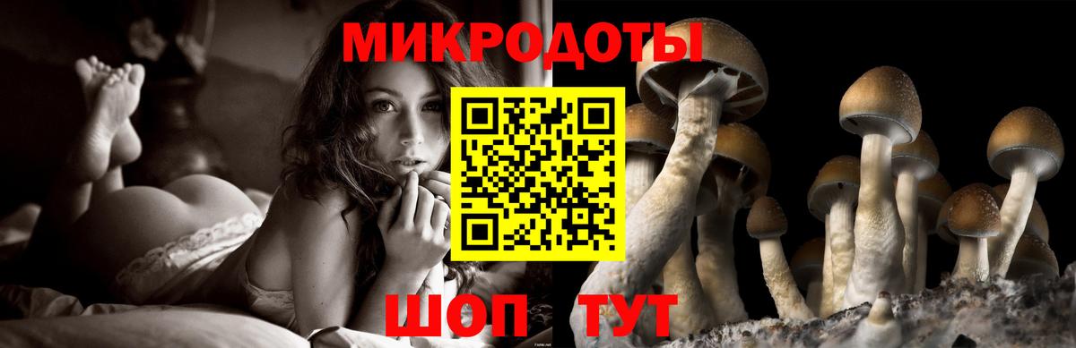 Псилоцибиновые грибы Magic Shrooms Баксан